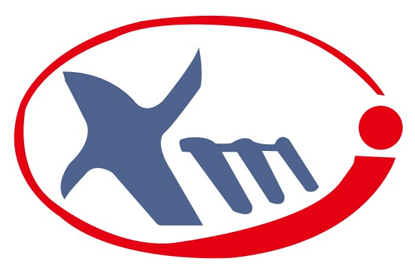 公司党支部2024年11月主题党日活动